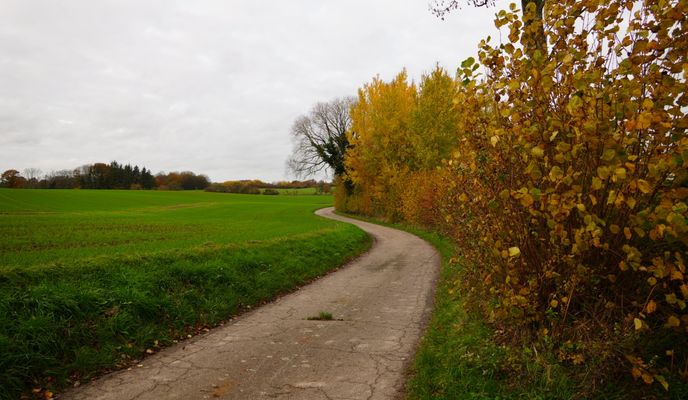 Photo 2 of the Bikemap route "Segeberger Seerunde"