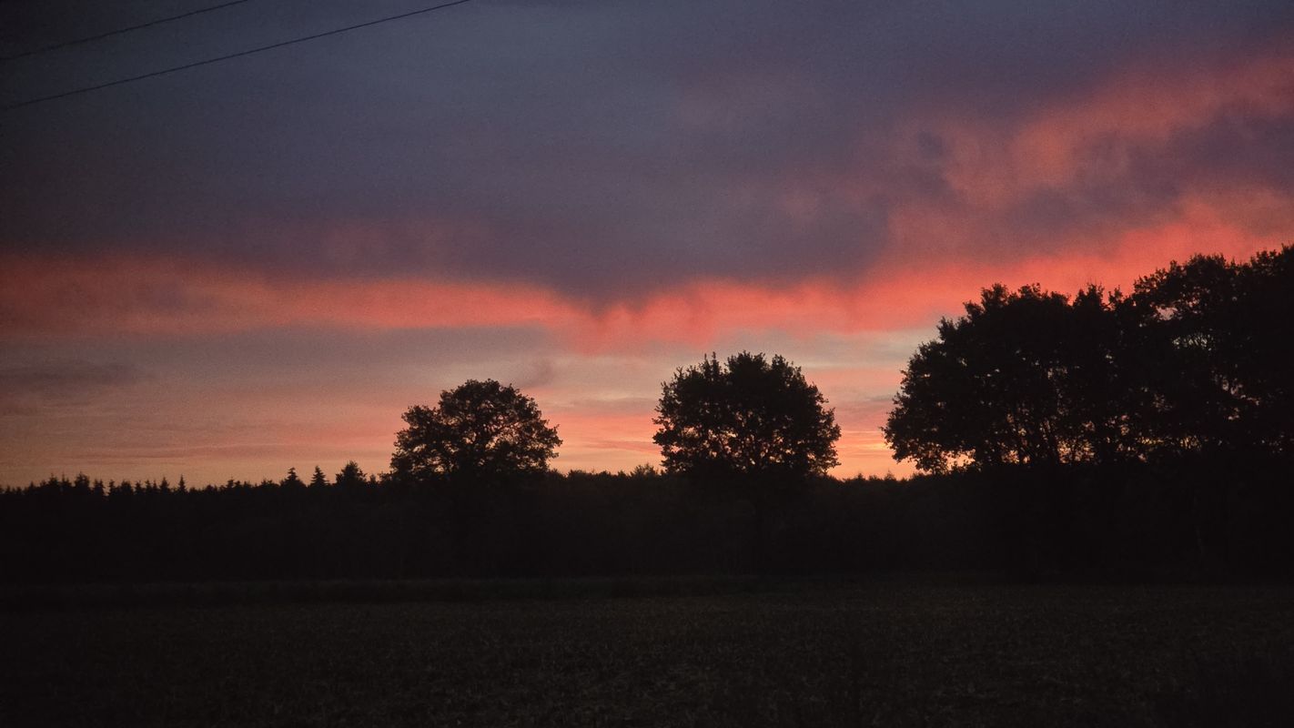 Dünenweg 2A nach Dünenweg 2A