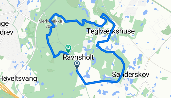 Ravnsholt Skov