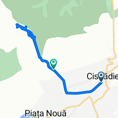 DJ106D, Cisnadie to Strada Stupului, Cisnadie