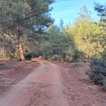 Foto 6 di questo percorso