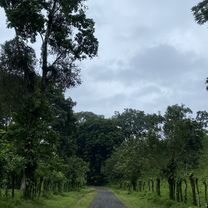 Foto 8 der Bikemap-Route "Calle 468, La Fortuna a Avenida 325, La Fortuna"