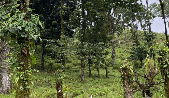 Foto 2 der Bikemap-Route "Calle 468, La Fortuna a Avenida 325, La Fortuna"