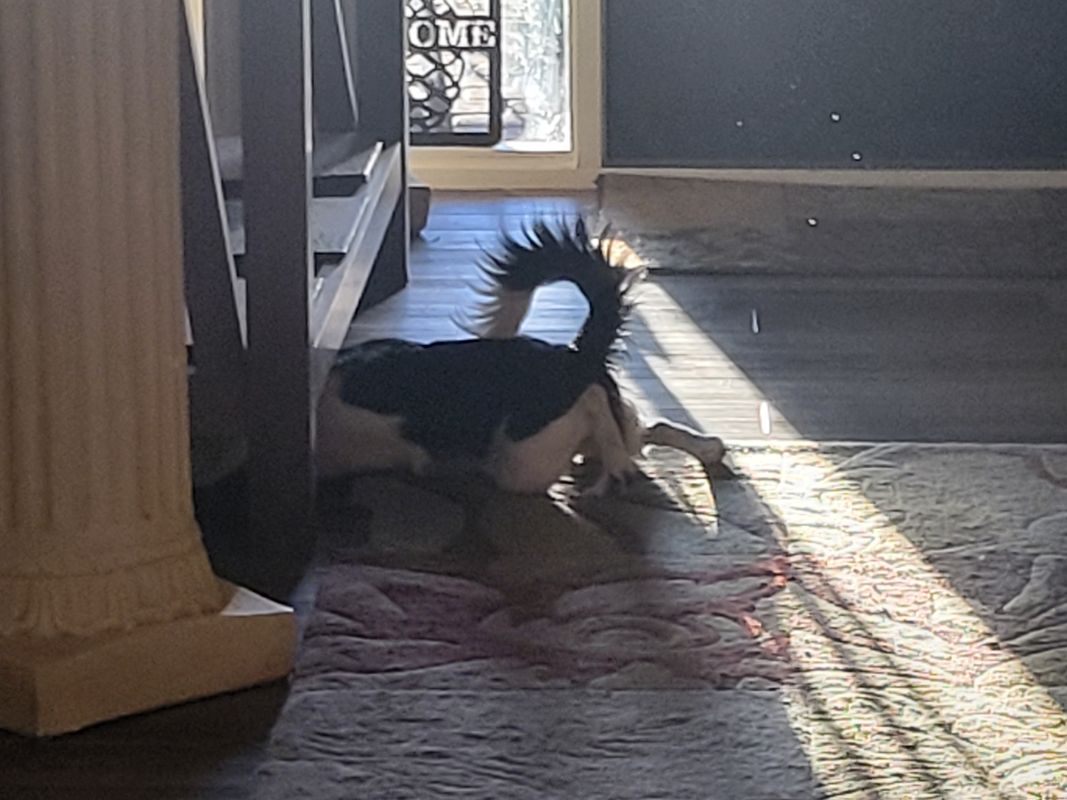 North 43rd Avenue to East Dunlap Avenue