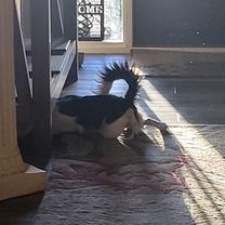 North 43rd Avenue to East Dunlap Avenue