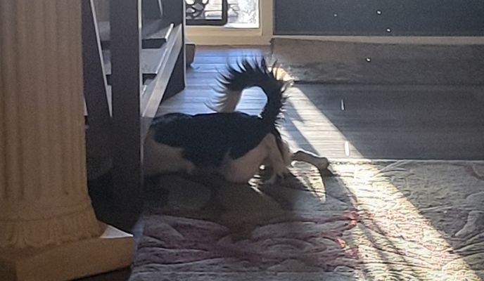 Foto 1 de la ruta de Bikemap "North 43rd Avenue to East Dunlap Avenue"