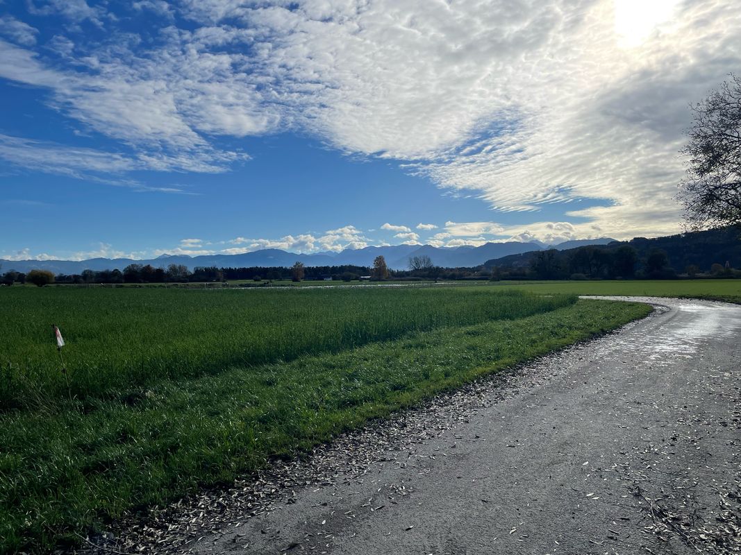 Vorarlberger Wetlands Loop