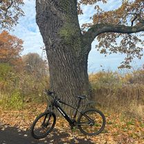 Olimpijczyków, Krępiec do Olimpijczyków, Krępiec