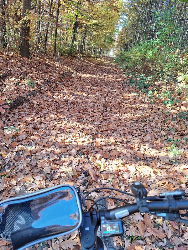 Desedai erdészlak - Fürj utca