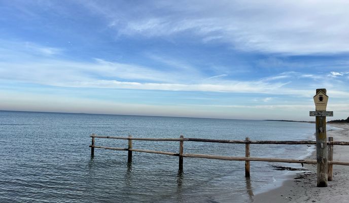 Photo 2 of the Bikemap route "Zingst-Sunische Wiesen-Zingst 202511"