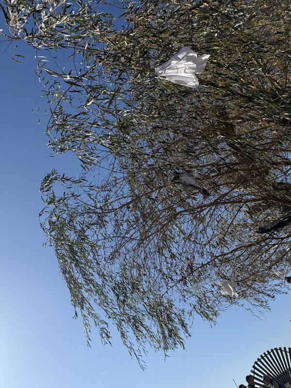 Ifjúmunkás utca, Tatabánya - Ifjúmunkás utca, Tatabánya