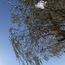 Ifjúmunkás utca, Tatabánya - Ifjúmunkás utca, Tatabánya