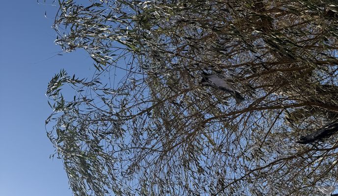 Foto 1 der Bikemap-Route "Ifjúmunkás utca, Tatabánya - Ifjúmunkás utca, Tatabánya"