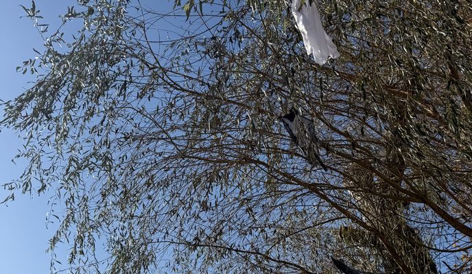 Foto 2 der Bikemap-Route "Ifjúmunkás utca, Tatabánya - Ifjúmunkás utca, Tatabánya"