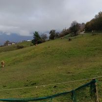 Photo 8 de l’itinéraire Bikemap « Da Via Papa Luciani a Via Papa Luciani »