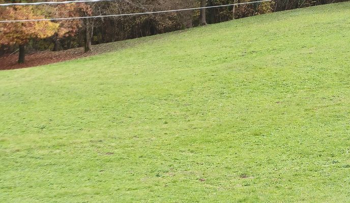 Photo 2 de l’itinéraire Bikemap « Da Via Papa Luciani a Via Papa Luciani »