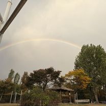 20251101 행주대교