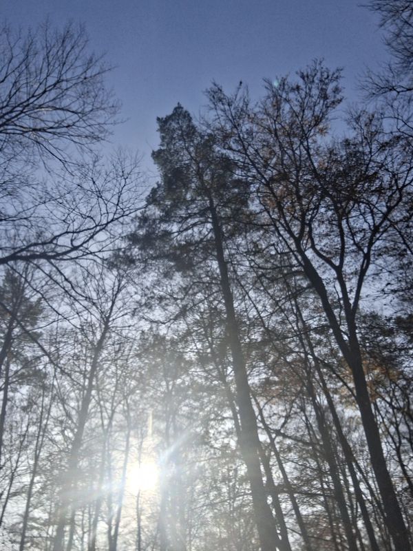 Ulica Klonowa to Ulica Klonowa