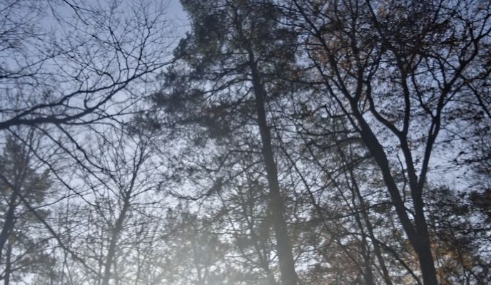 Foto 1 del percorso Bikemap "Ulica Klonowa to Ulica Klonowa"