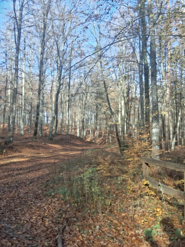 Ulica Klonowa to Ulica Klonowa