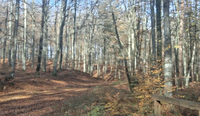 Foto 2 del percorso Bikemap "Ulica Klonowa to Ulica Klonowa"