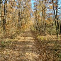 Hungaroring - Pécel
