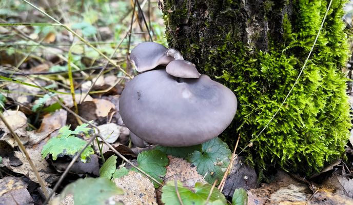 Foto 1 der Bikemap-Route "От улица Крупской до улица Крупской"