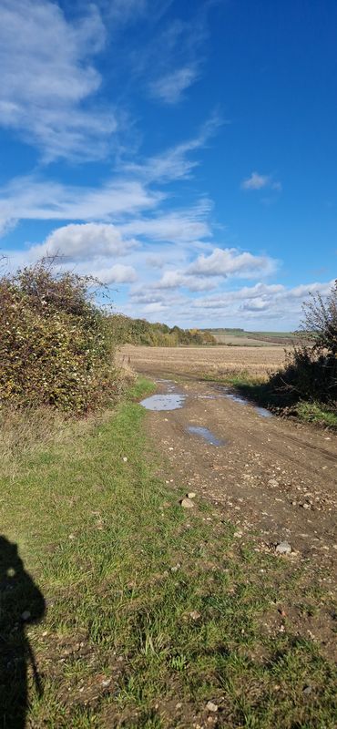 Mansfield Road to Saint Mary's Way
