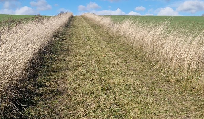 Foto 1 de la ruta de Bikemap "Mansfield Road to Saint Mary's Way"
