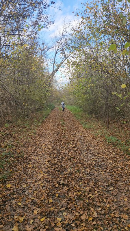 От Ulica Franje Tuđmana до Ulica Franje Tuđmana