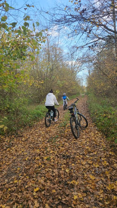 От Ulica Franje Tuđmana до Ulica Franje Tuđmana