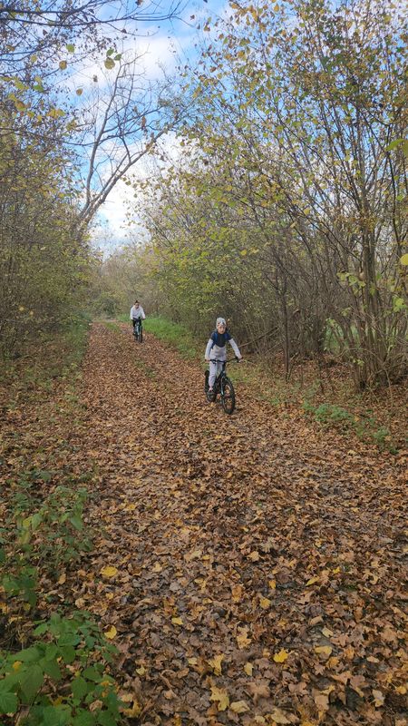 От Ulica Franje Tuđmana до Ulica Franje Tuđmana