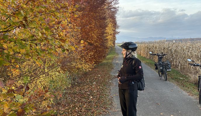 Zdjęcie 2 trasy Bikemap „Obgrün, Großwilfersdorf - Siegersdorf bei Herberstein, Feistritztal”