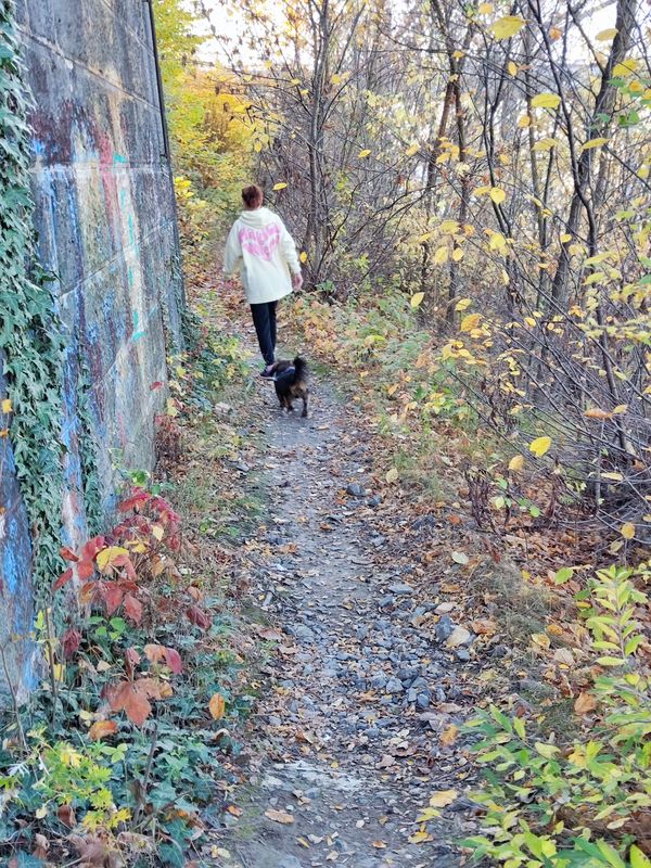 Veľkodunajské nábrežie - Košická