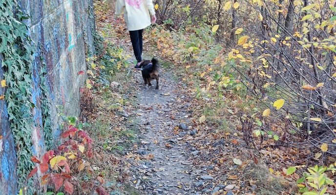 Foto 2 de la ruta de Bikemap "Veľkodunajské nábrežie - Košická"