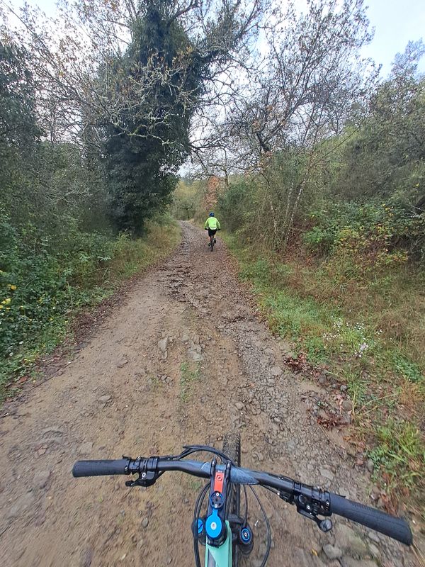 Da Via Vacchereccia a Via Vacchereccia