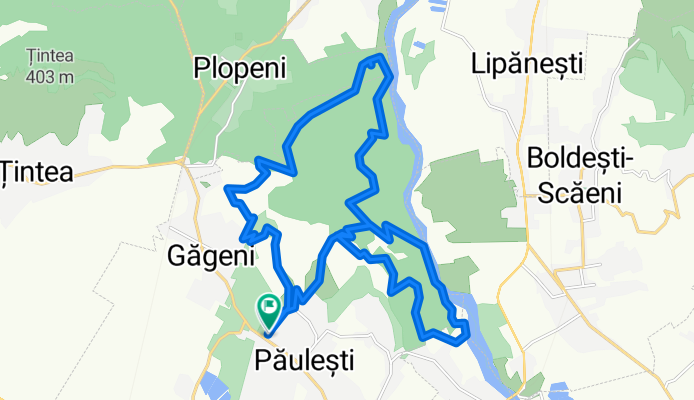 Păulești 02.11.2025