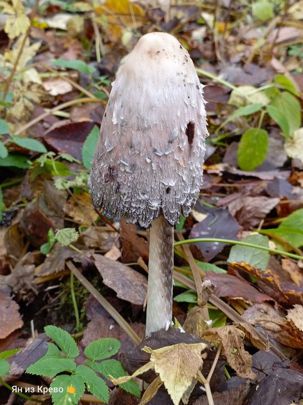 )дддддддддбдддддюю