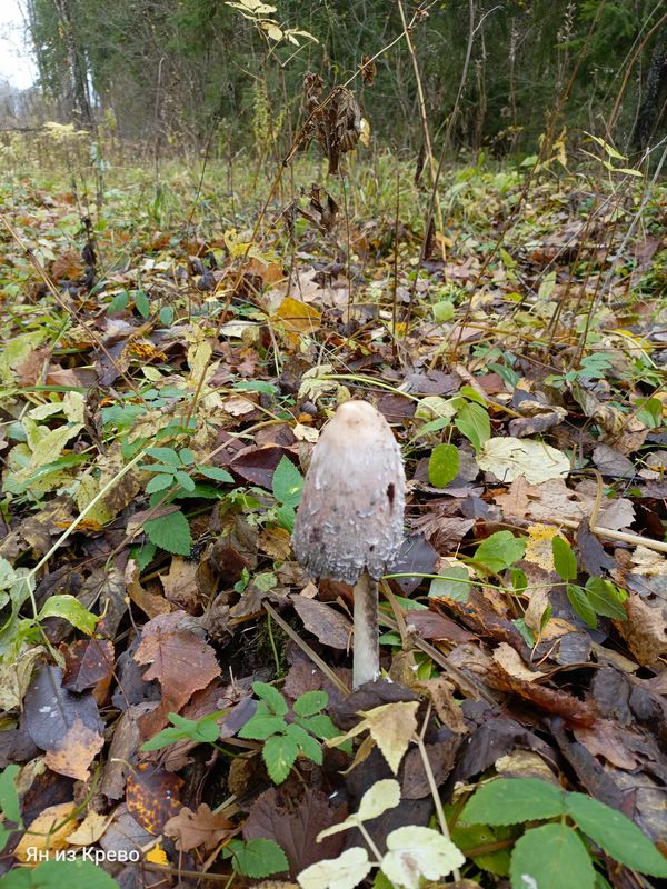 )дддддддддбдддддюю