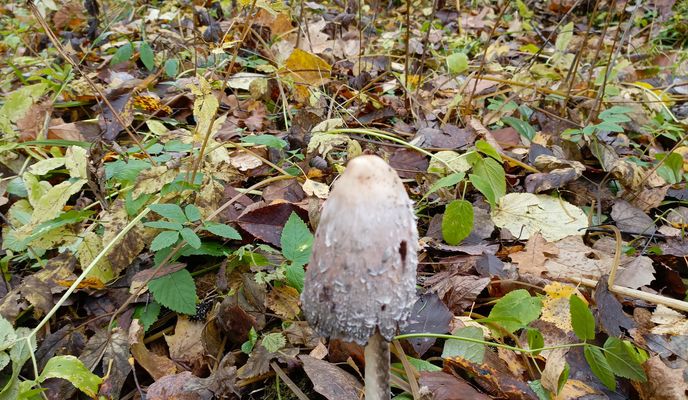 Foto 2 der Bikemap-Route ")дддддддддбдддддюю"