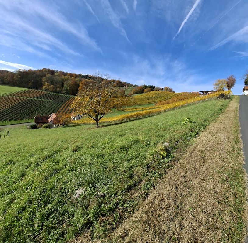 Route von Hürth nach Straden