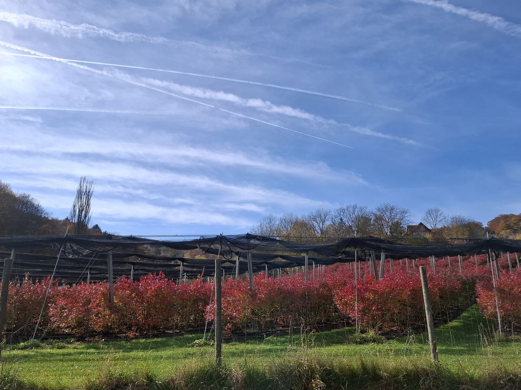 Route von Hürth nach Straden