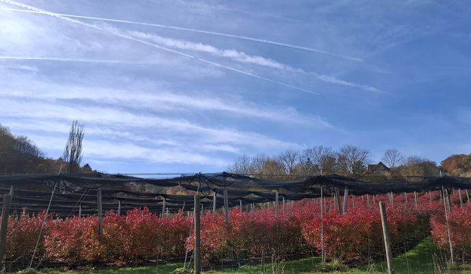 Zdjęcie 2 trasy Bikemap „Route von Hürth nach Straden”