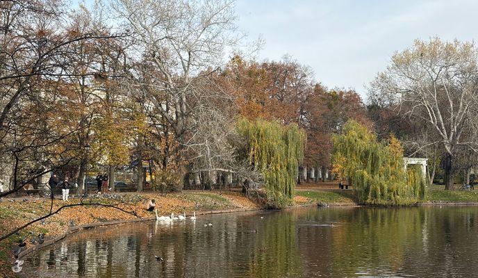 Foto 2 de la ruta de Bikemap "black coffee, swans, autumn forest and fog"