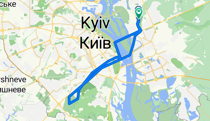 black coffee, swans, autumn forest and fog