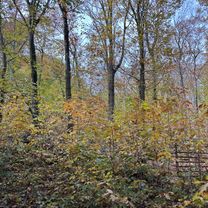 Tiletumstraat, Ruiselede naar Tiletumstraat, Ruiselede