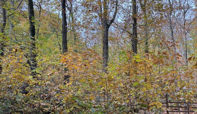 Zdjęcie 1 trasy Bikemap „Tiletumstraat, Ruiselede naar Tiletumstraat, Ruiselede”