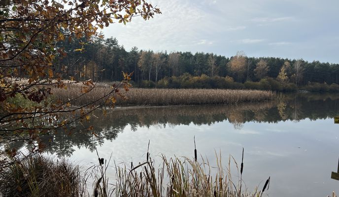 Photo 1 of the Bikemap route "Begonii, Тыхы до Jana Sebastiana Bacha, Тыхы"