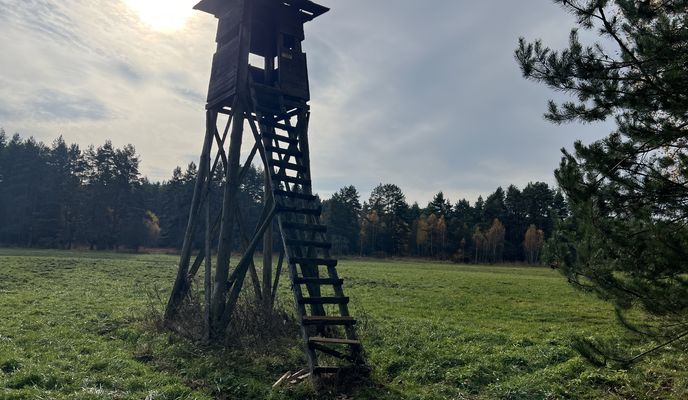 Photo 2 of the Bikemap route "Begonii, Тыхы до Jana Sebastiana Bacha, Тыхы"