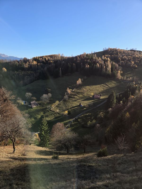 Tura Moeciu -Cheia - Magura - Sirnea - Moeciu